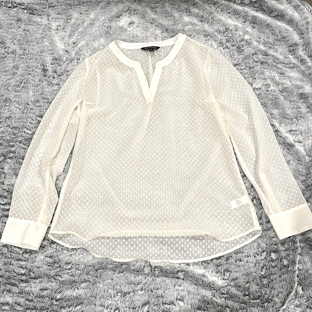 Express Sheer Blouse